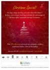 Christmas-web-design-offer-discount-web-development-deal